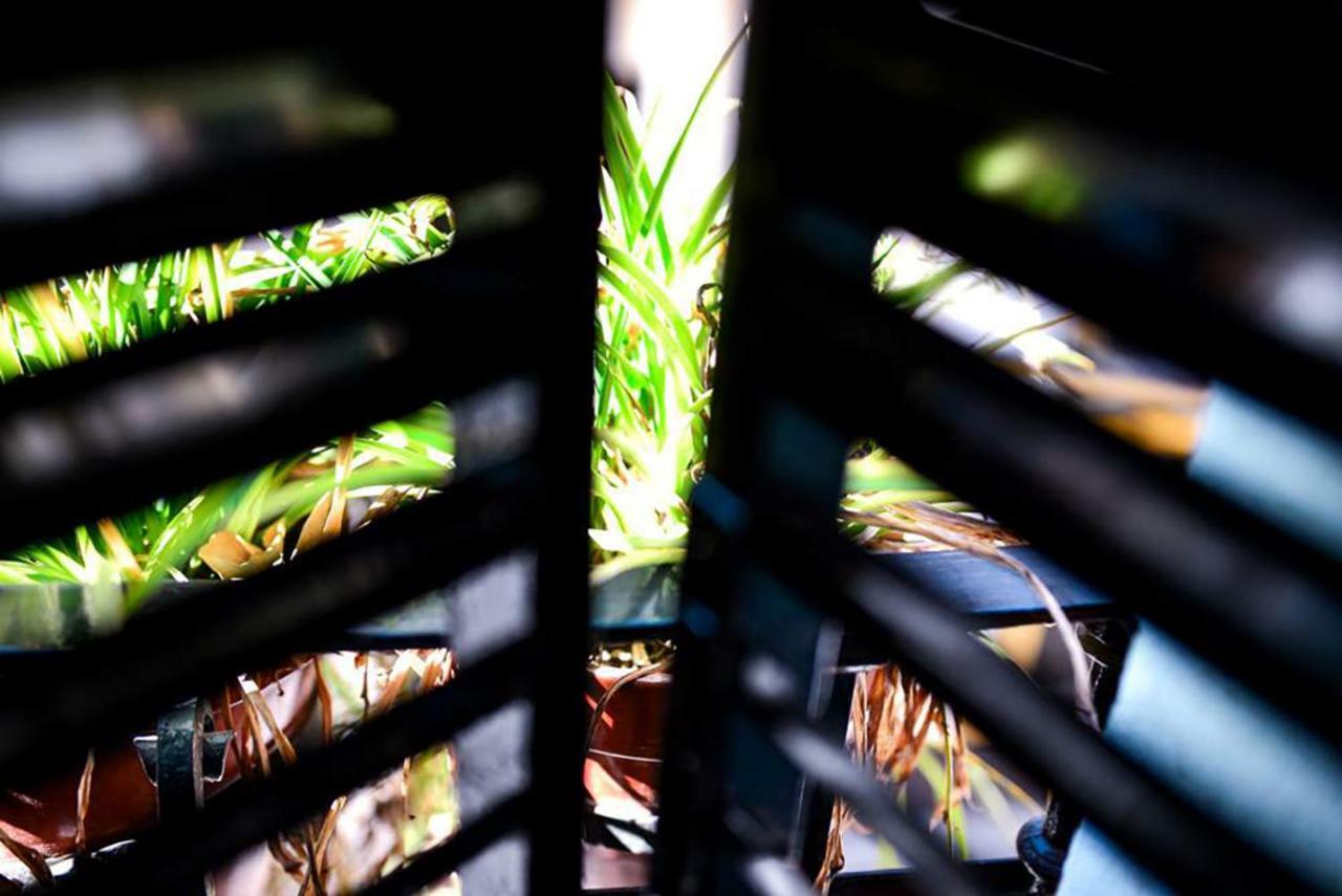 Appartement Casa Alfalfa 2 Terraza Y Solarium Privado *