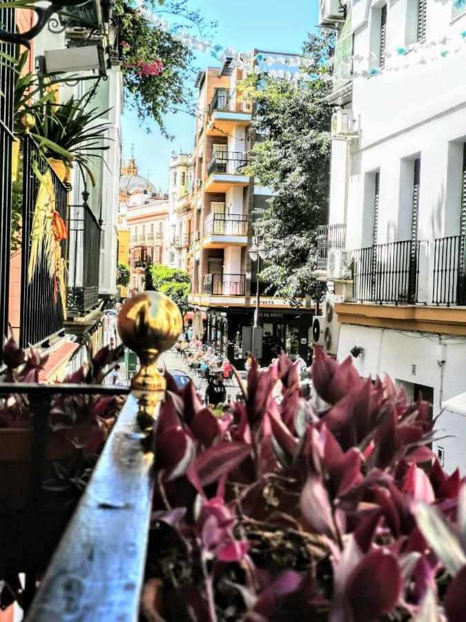 Appartement Casa Alfalfa 2 Terraza Y Solarium Privado Séville